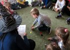 IMG 6116