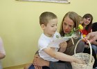 IMG 8601
