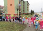 IMG 6511