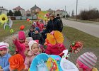IMG 6524