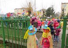 IMG 6536