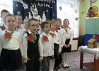 IMG 7508