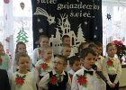 IMG 7516