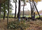 DSCF5432