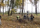 DSCF5448