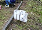 IMG 20171026 104153